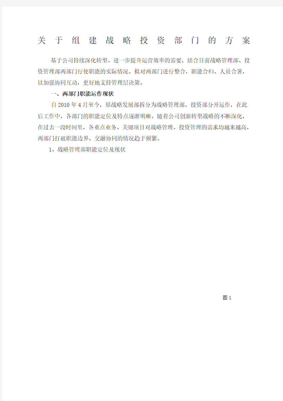 关于组建战略投资部门的方案