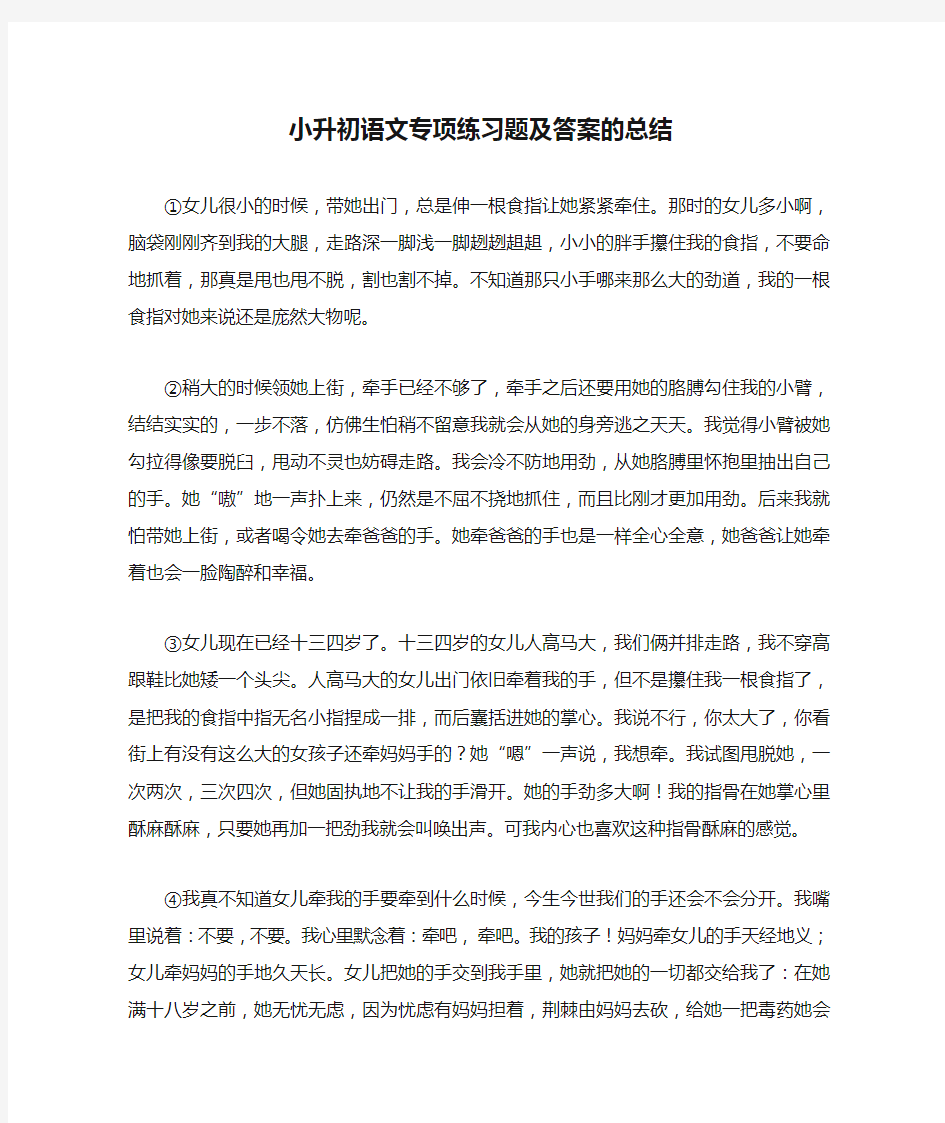 小升初语文专项练习题及答案的总结