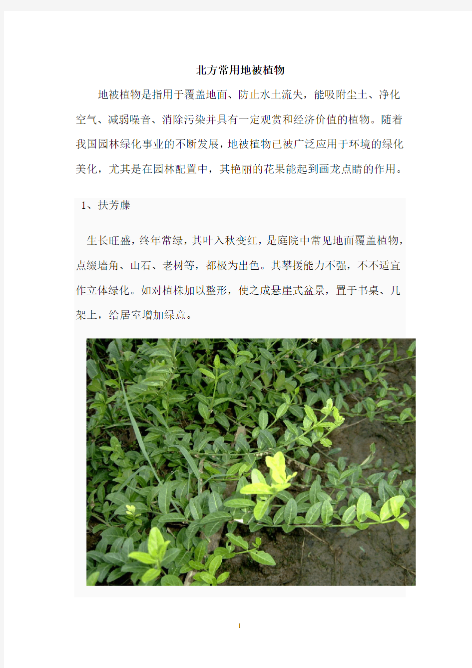 北方常用地被植物.pdf