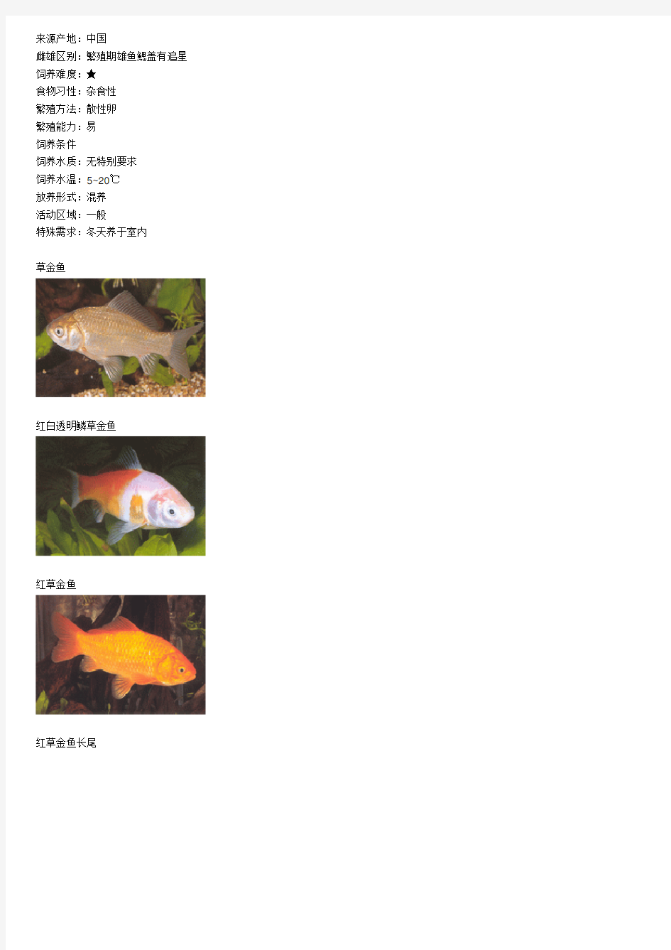 中国金鱼品种特征及图片