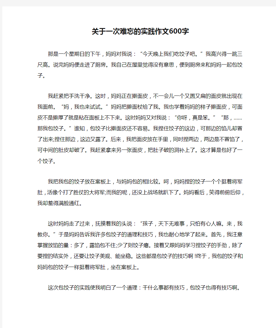 关于一次难忘的实践作文600字