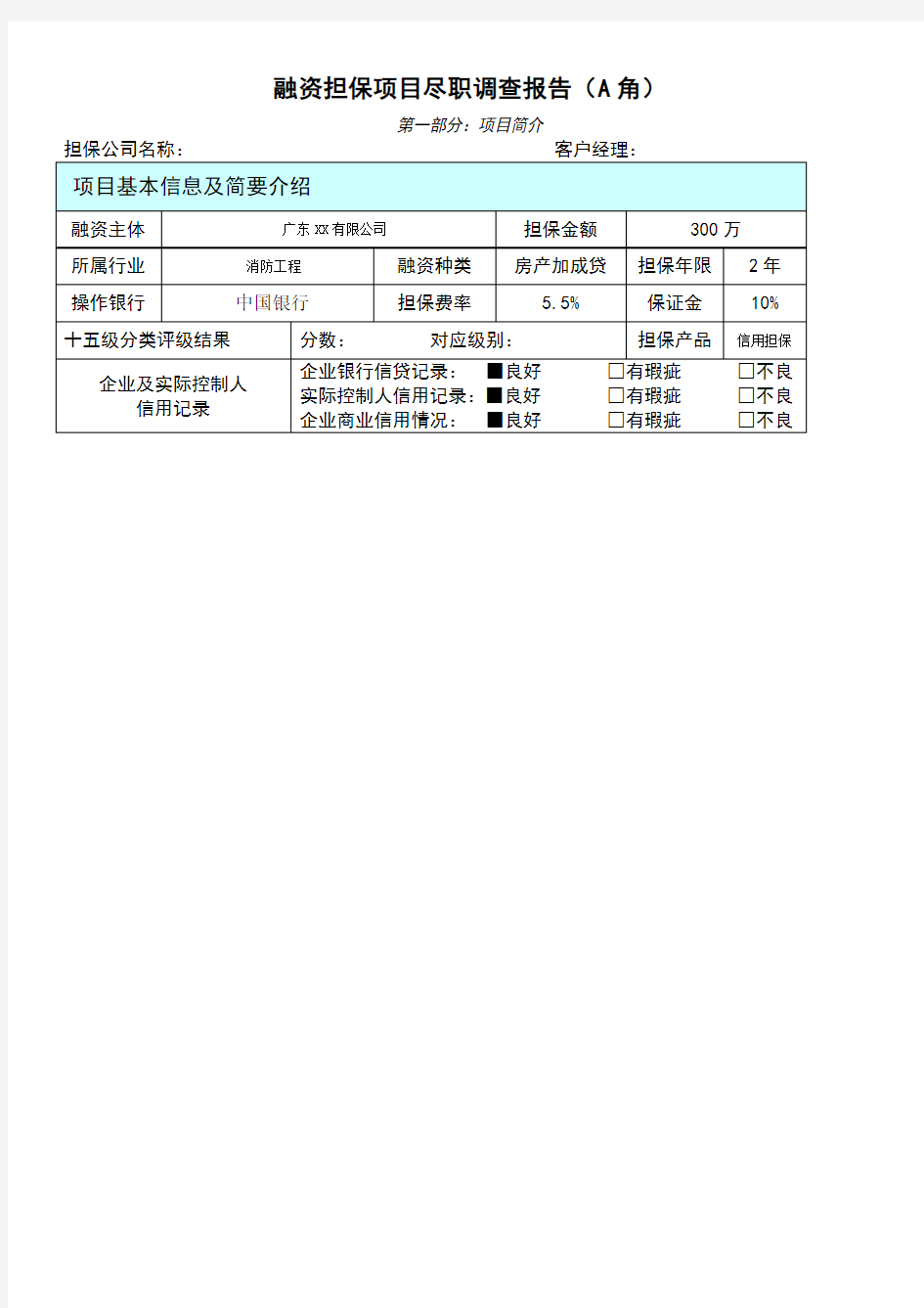 银行担保类项目尽职调查报告中科智担保