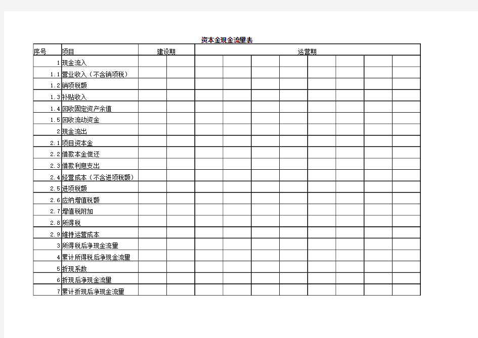 资本金现金流量表