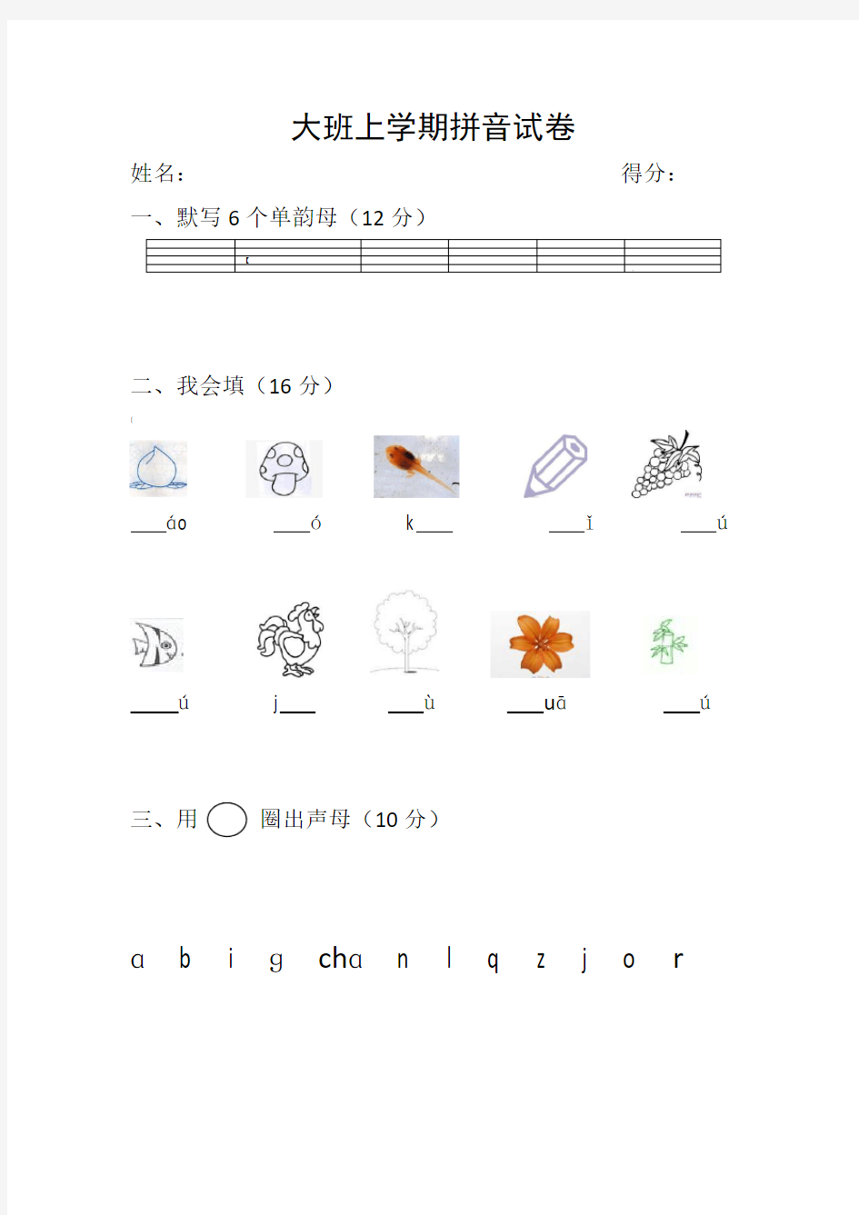 大班上学期拼音试卷