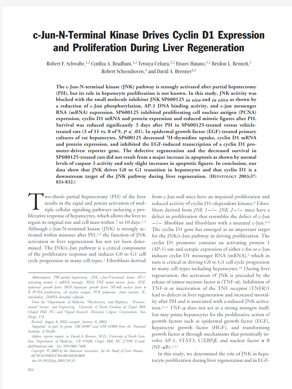 Hepa2003 JNK drives cyclin D1 expression and proliferation during liver regeneration