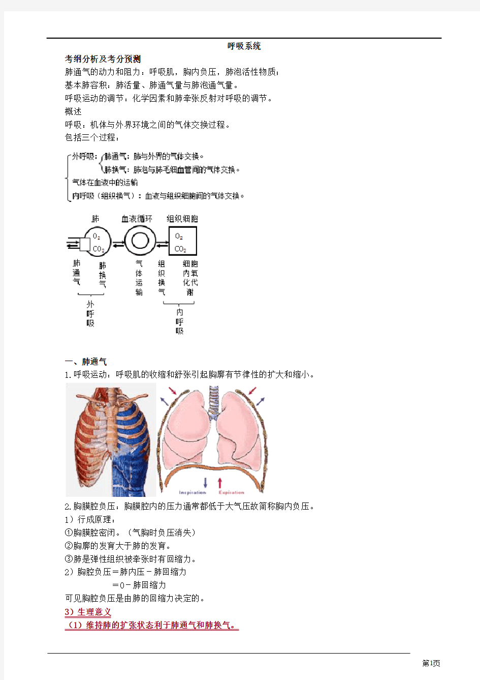 生理学-呼吸系统