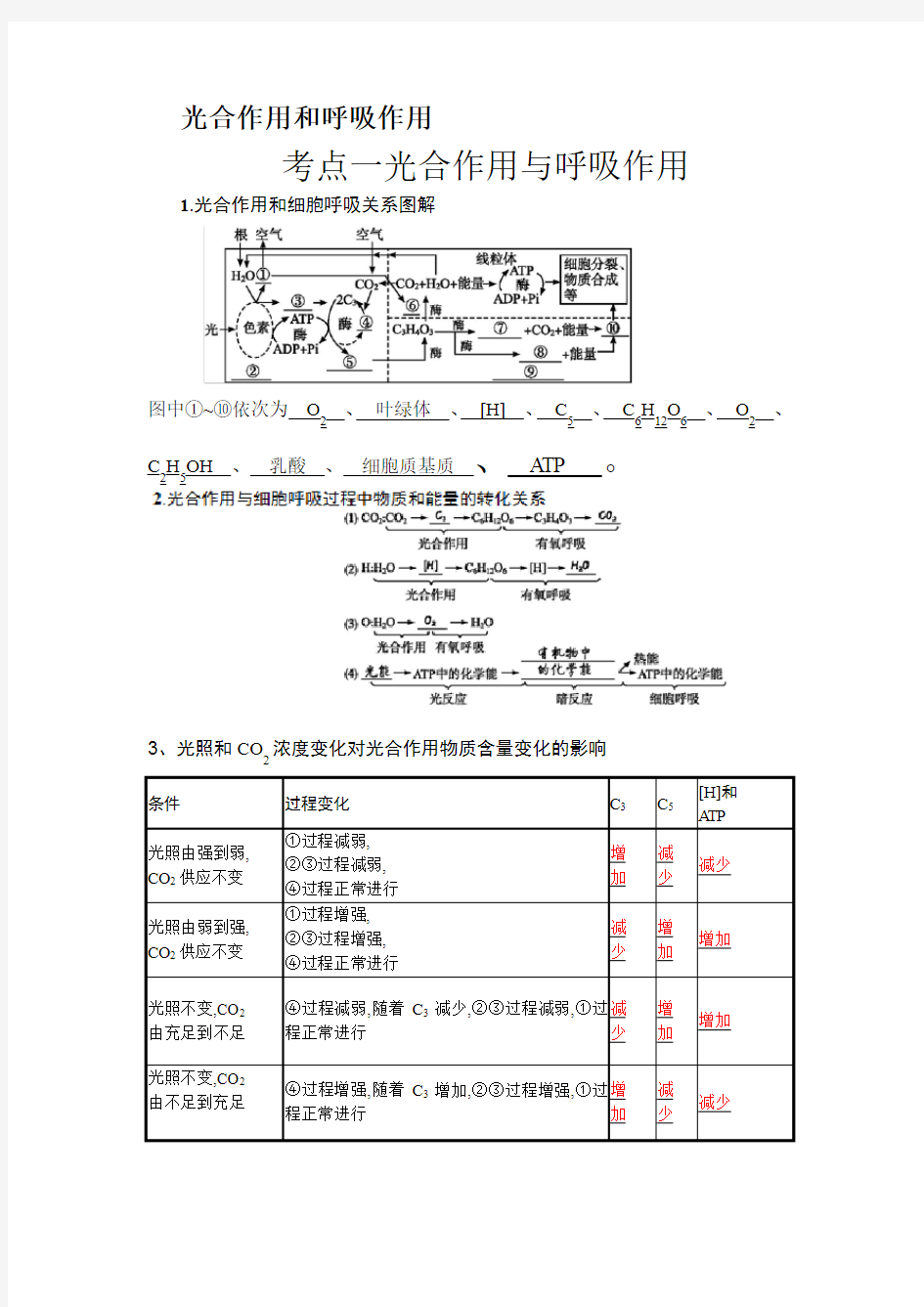 光合作用知识点89330