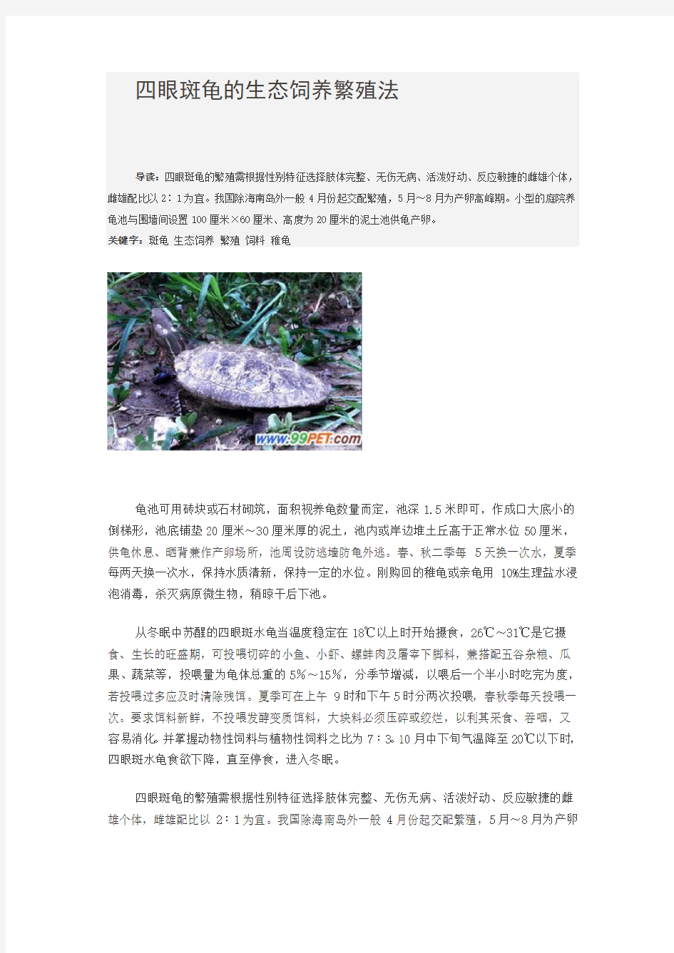 四眼斑龟的生态饲养繁殖法