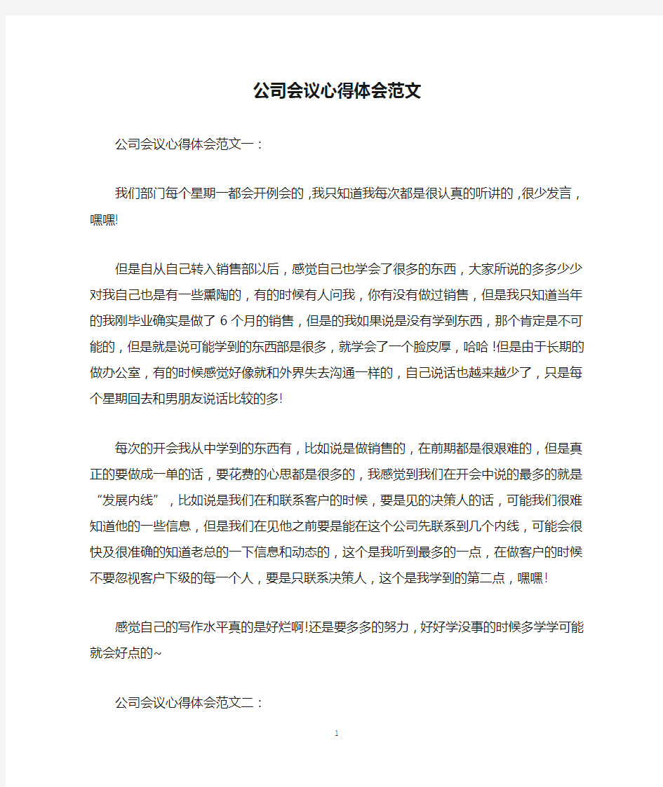 公司会议心得体会范文