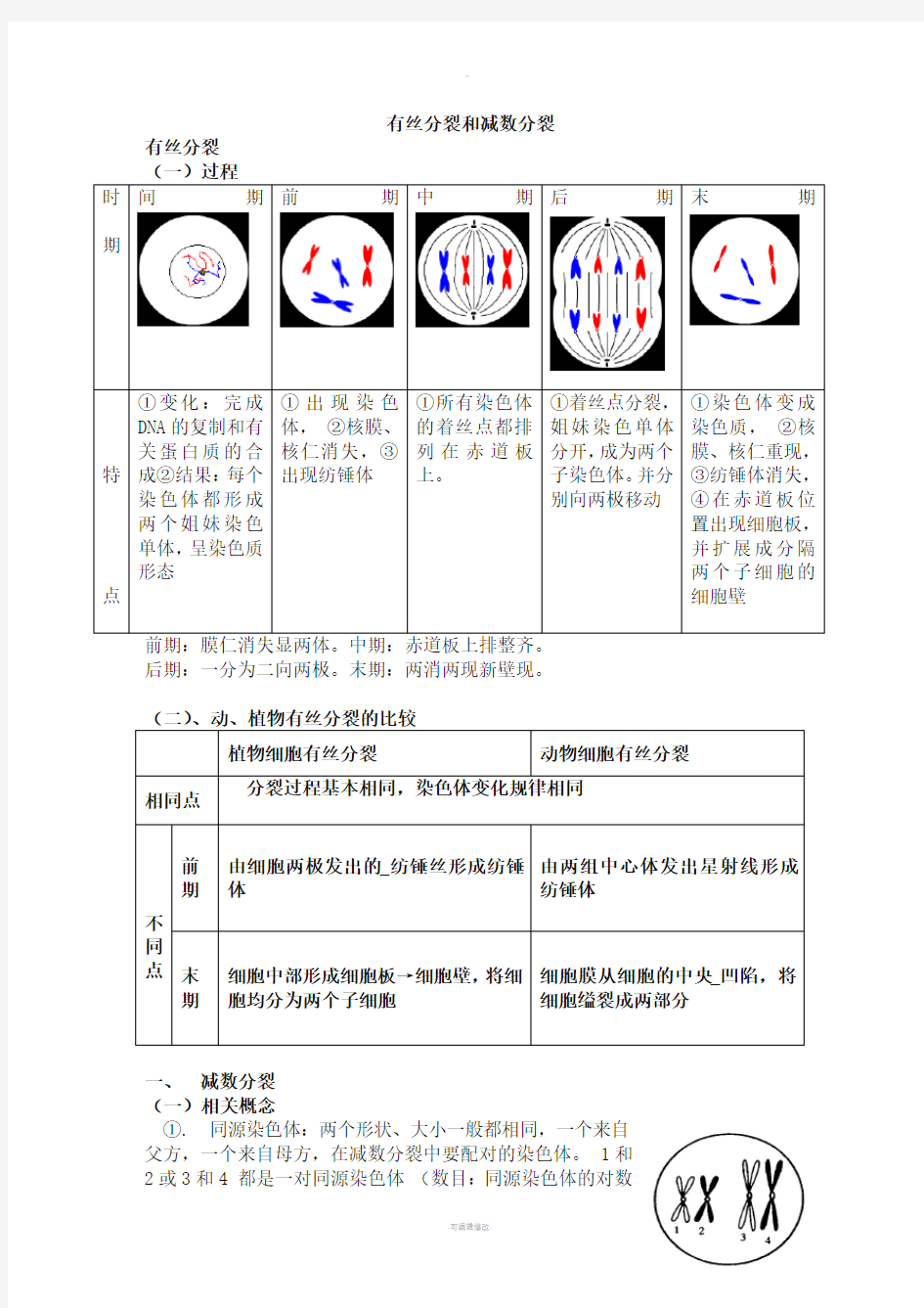 高中生物必修二减数分裂详尽分析