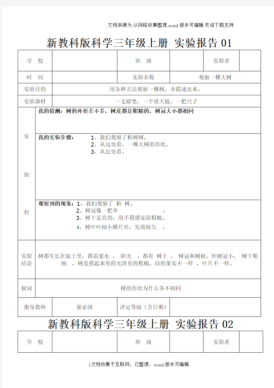 教科版三年级上册科学实验报告单