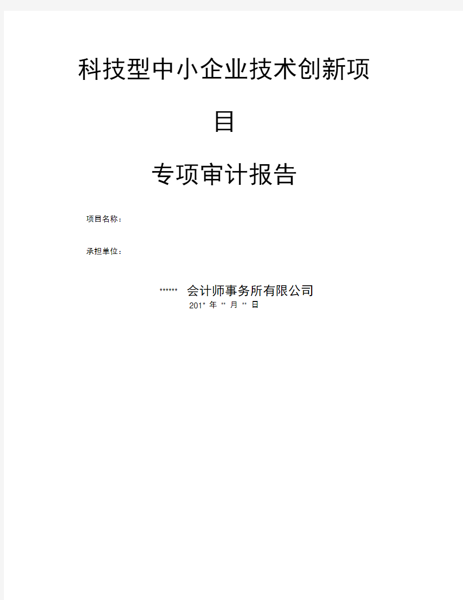 科技型中小企业技术创新项目审计报告