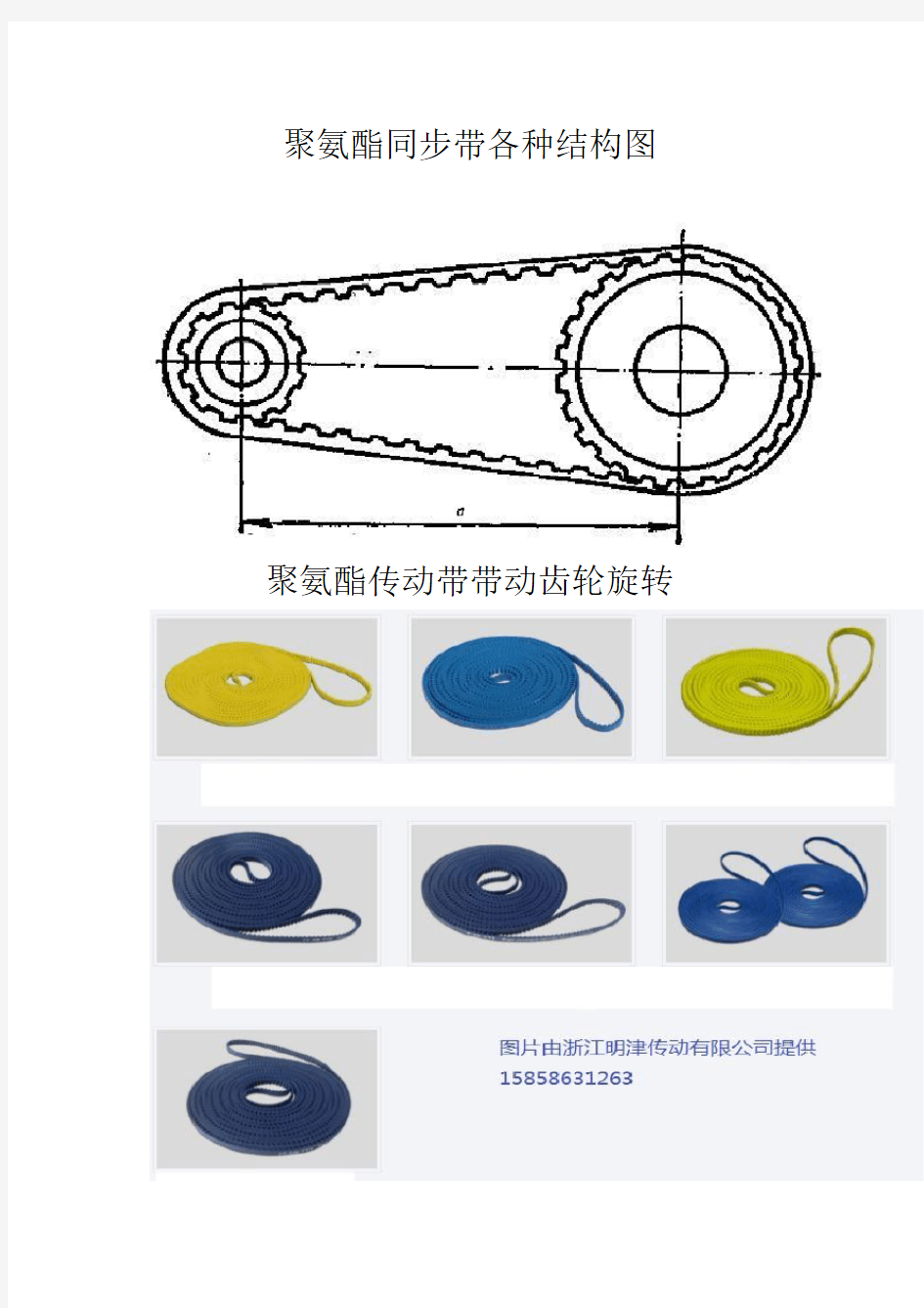 聚氨酯同步带各种结构图