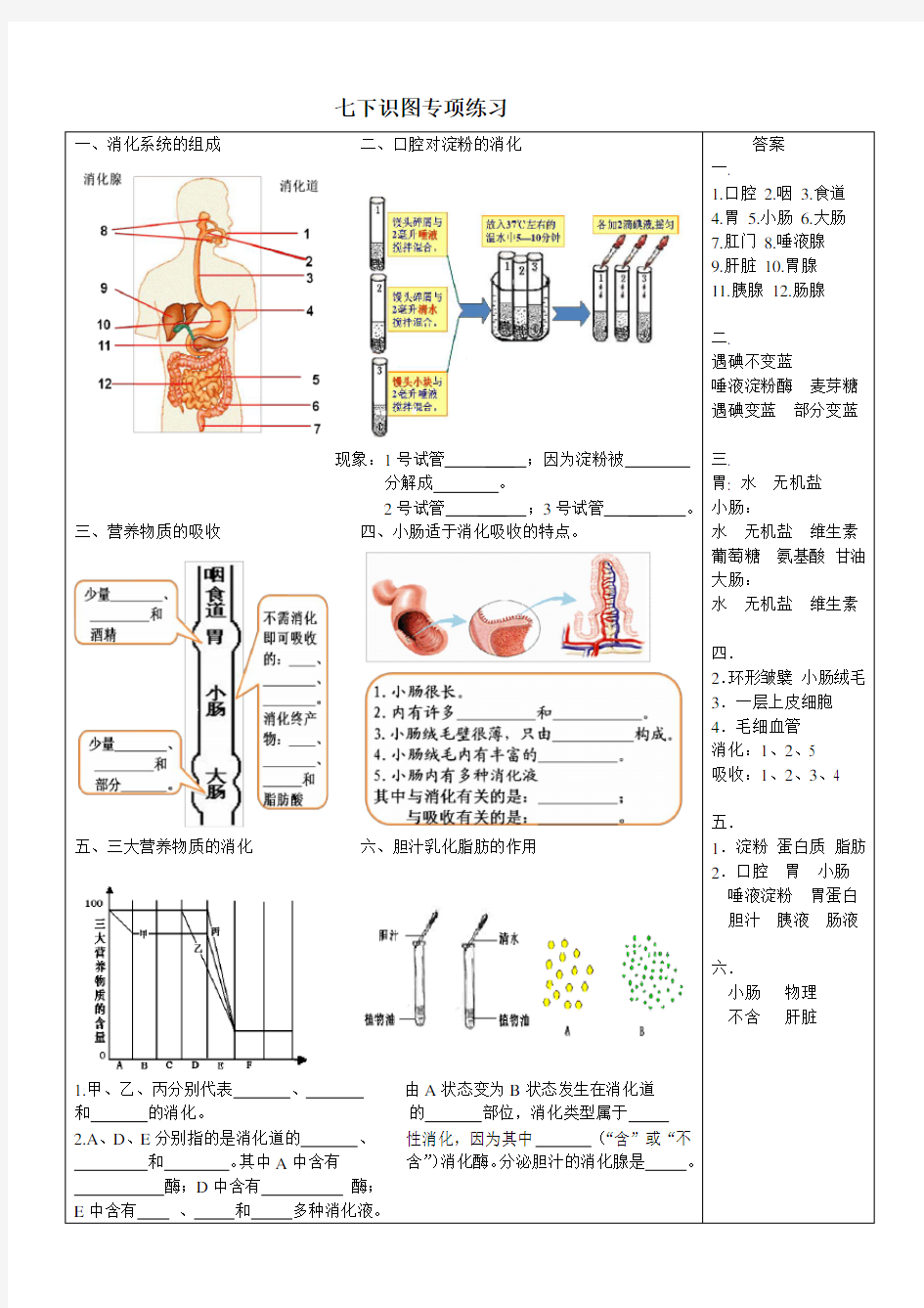 济南版初中生物七年级下册识图练习(带答案)