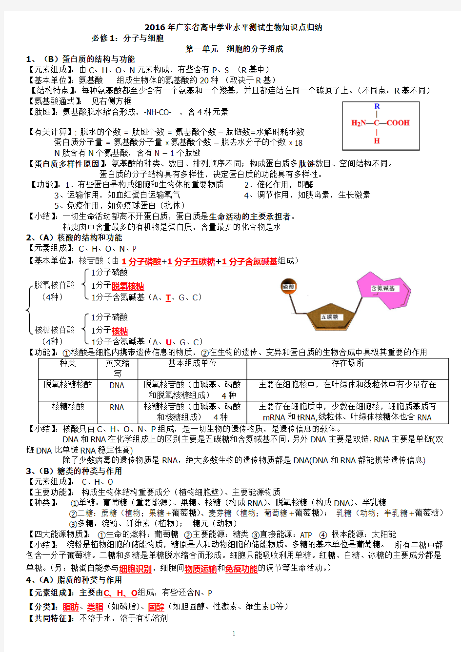 广东省高中学业水平测试生物知识点归纳(全面共28页)