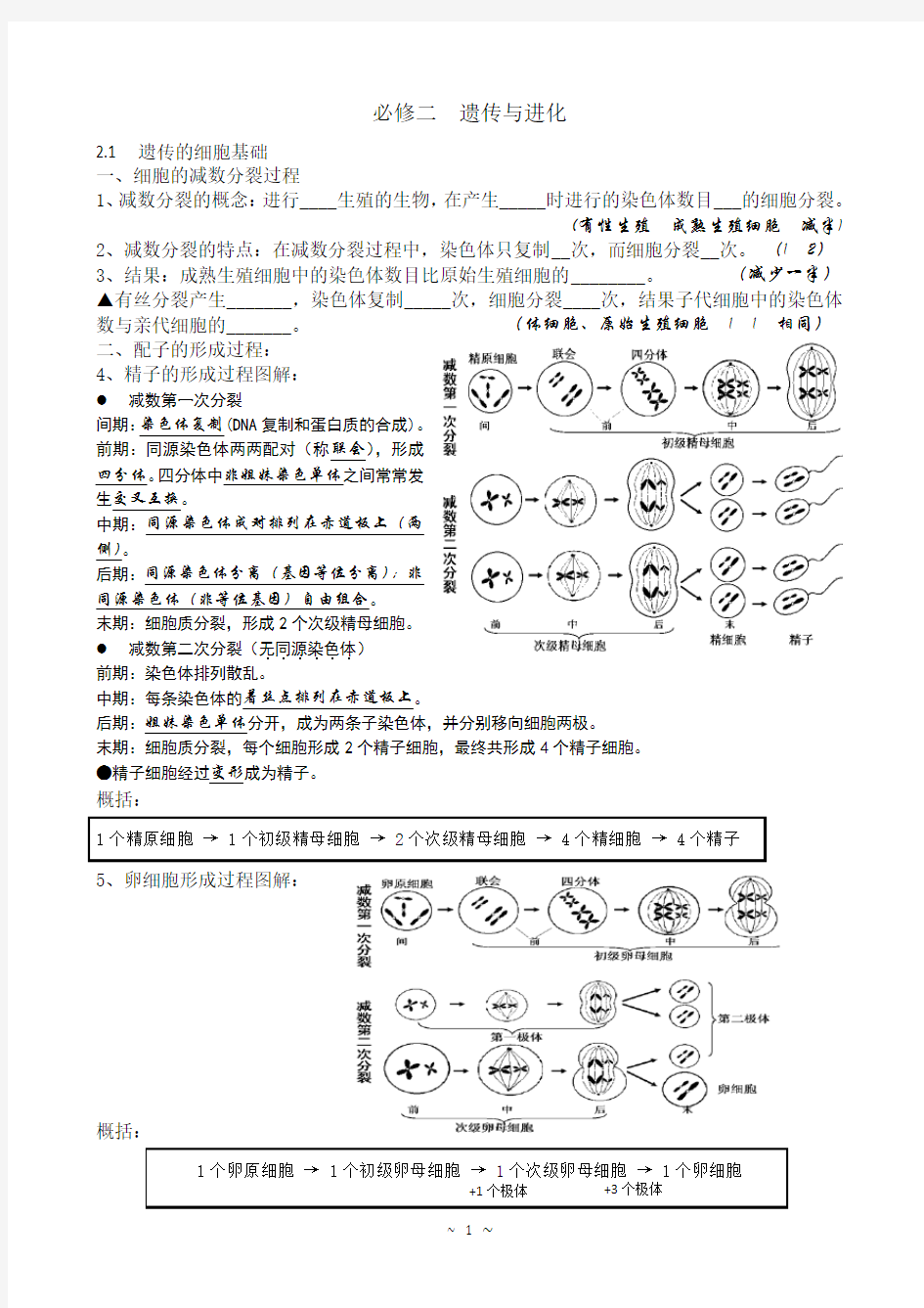 生物必修二知识填空(含答案)