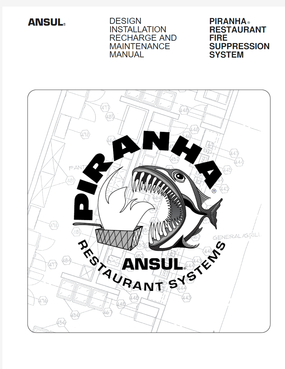 食人鱼系统设计手册