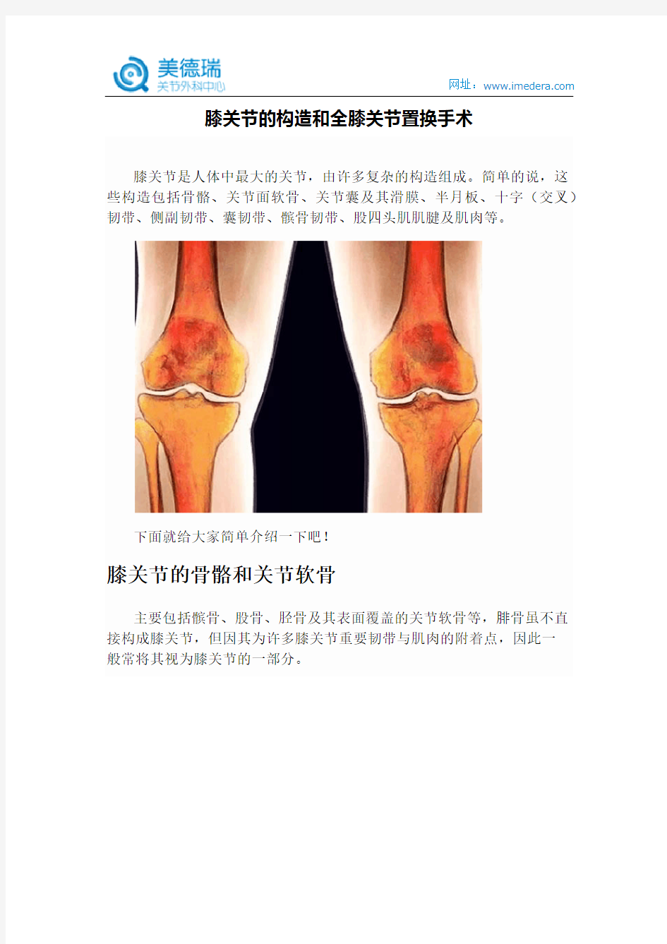 膝关节的构造和全膝关节置换手术