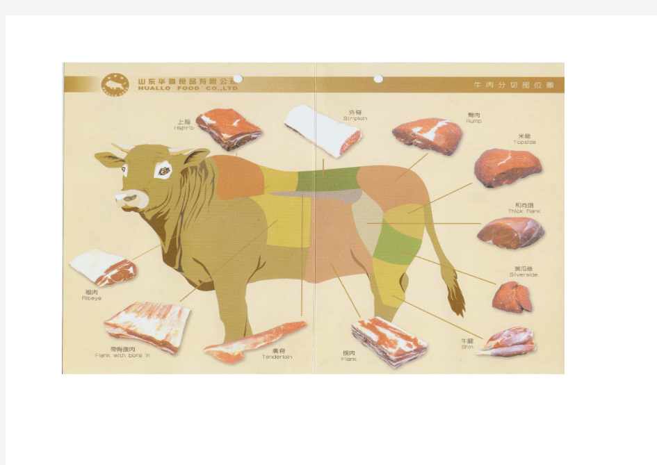 猪肉牛肉分割部位图