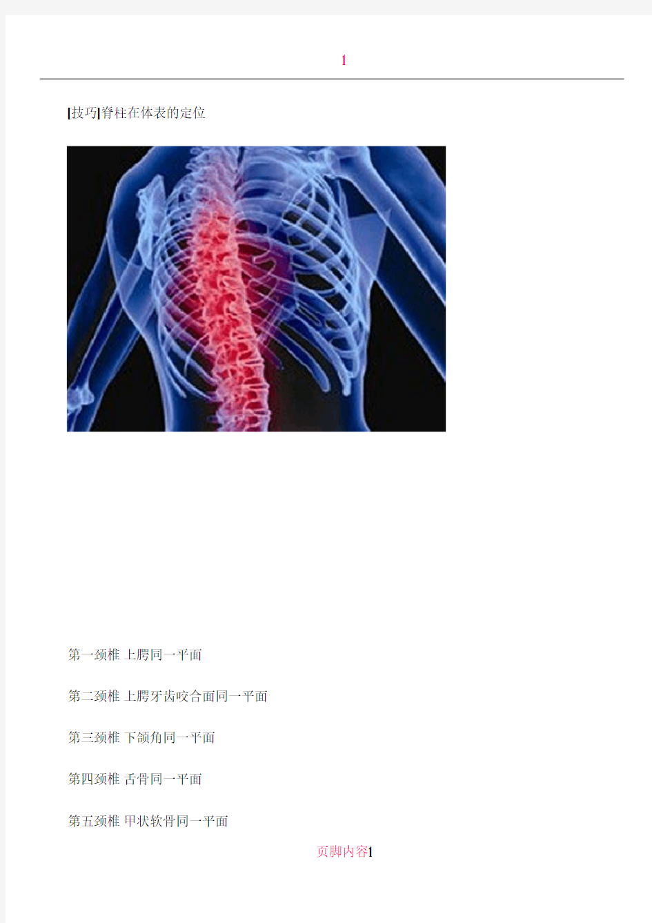 [技巧]脊柱在体表的定位