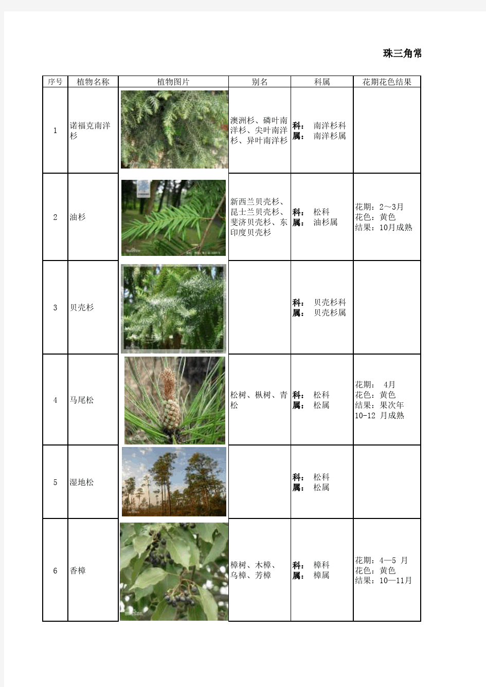 最系统的常见园林植物表——常绿乔木