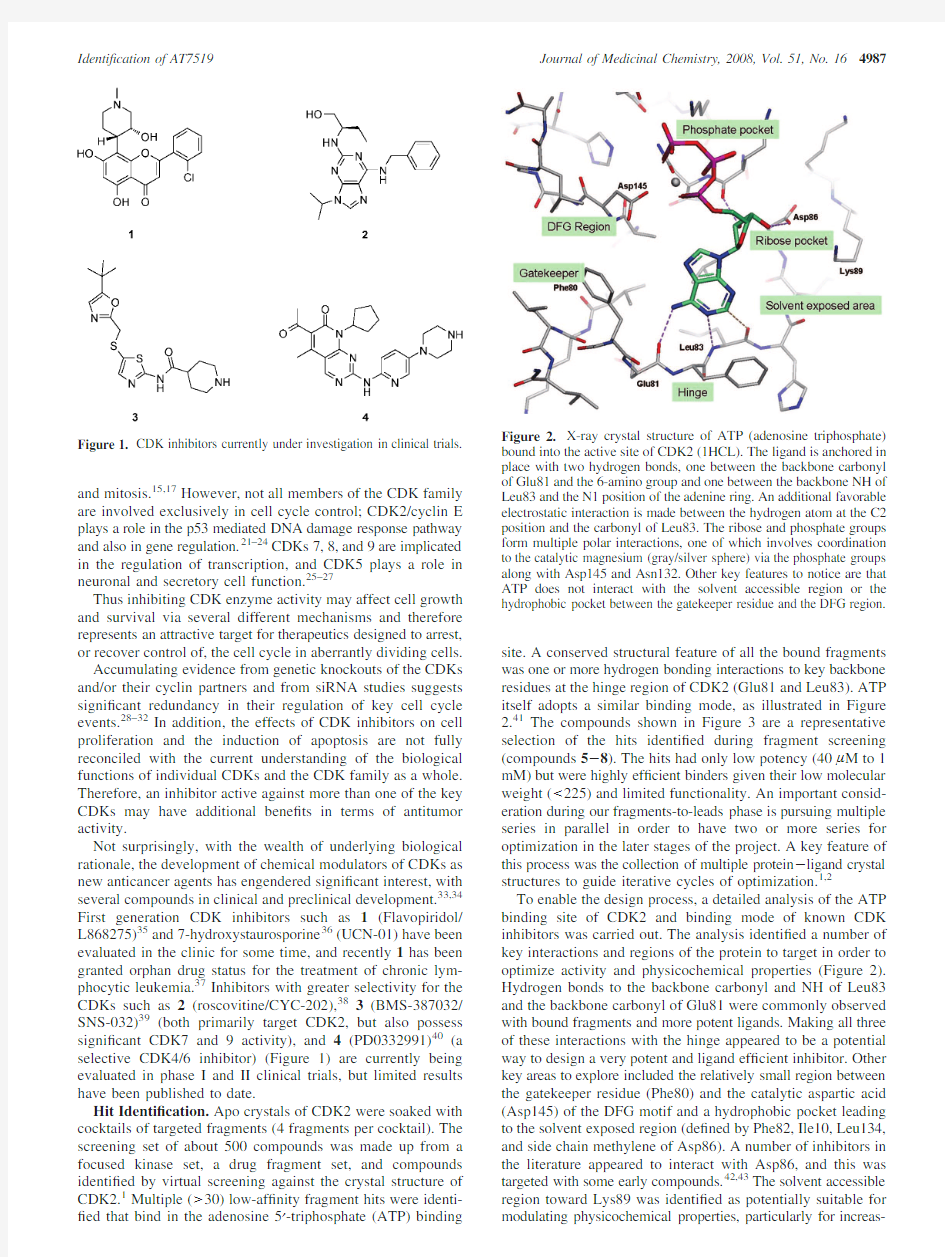 Identification of N-(4-Piperidinyl)-肝癌-CDK2