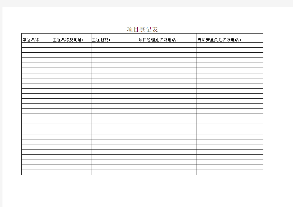 项目登记表 Microsoft Excel 工作表