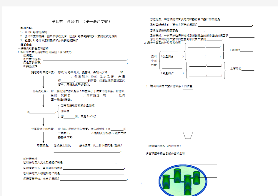 光合作用学案