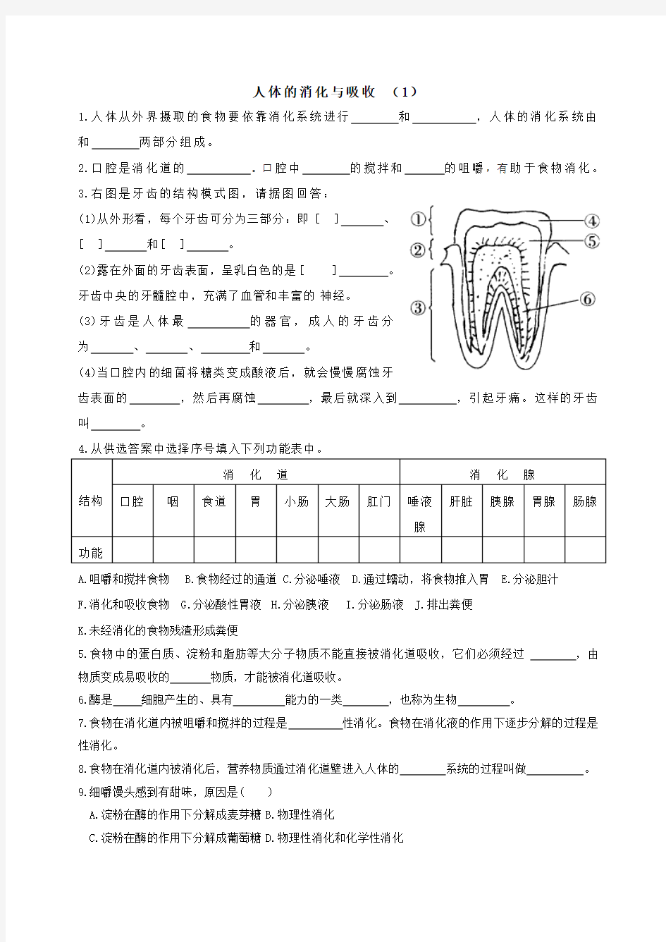 消化和吸收练习部分中考题