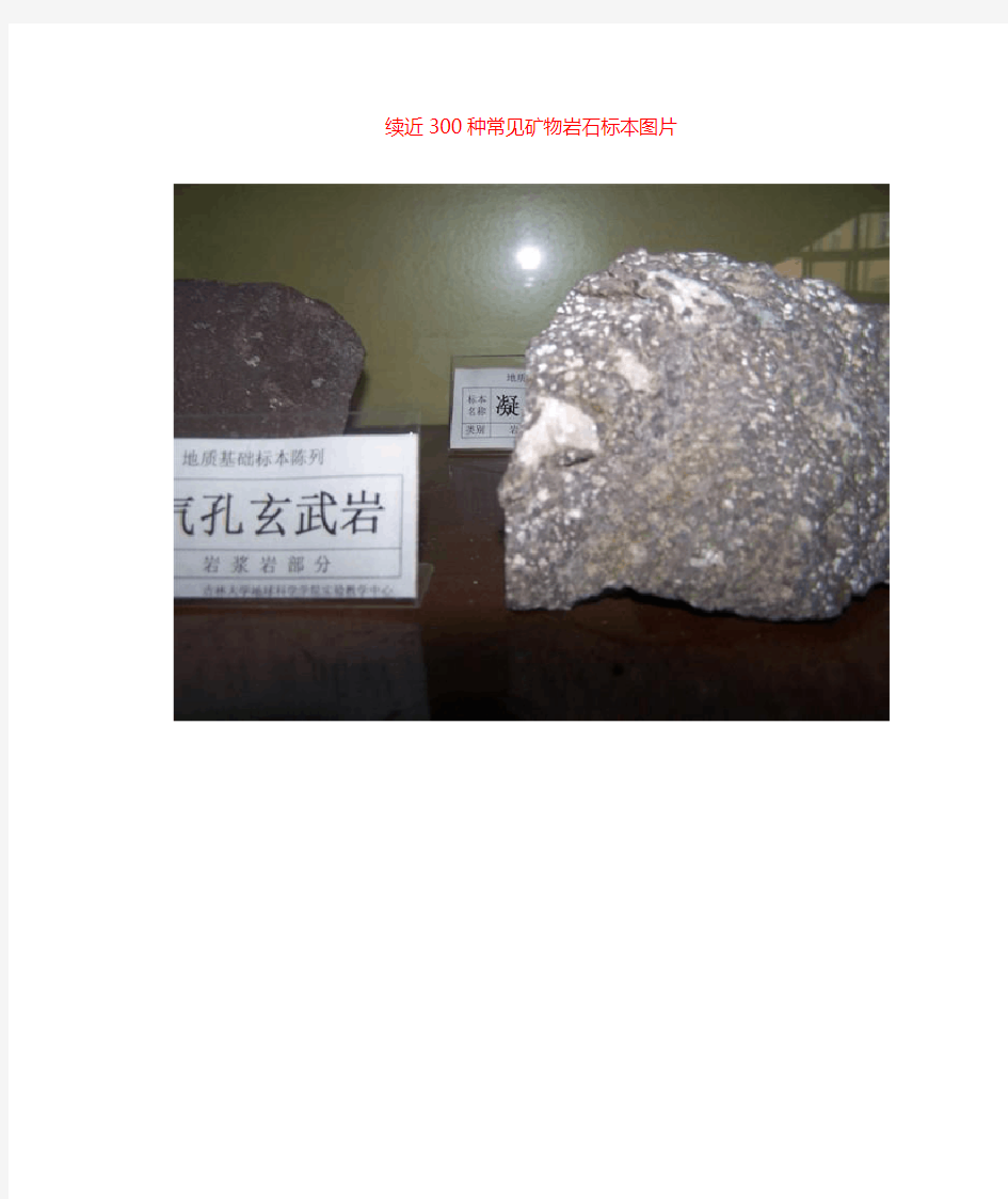 常见矿物岩石标本图片 (1)