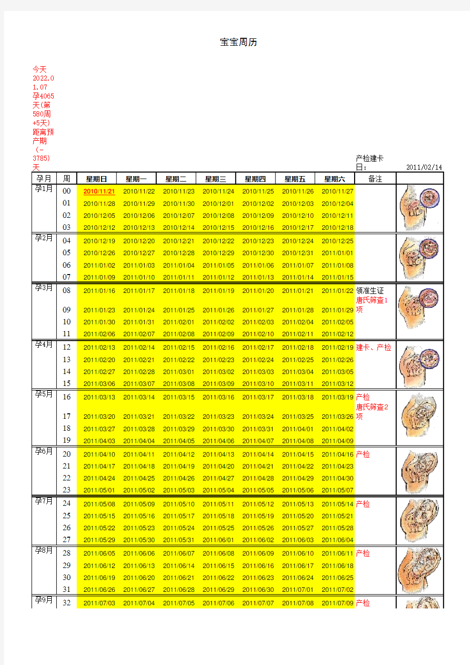 孕期必看_宝宝周历-孕周表