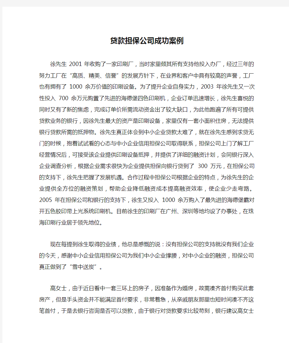 贷款担保公司成功案例