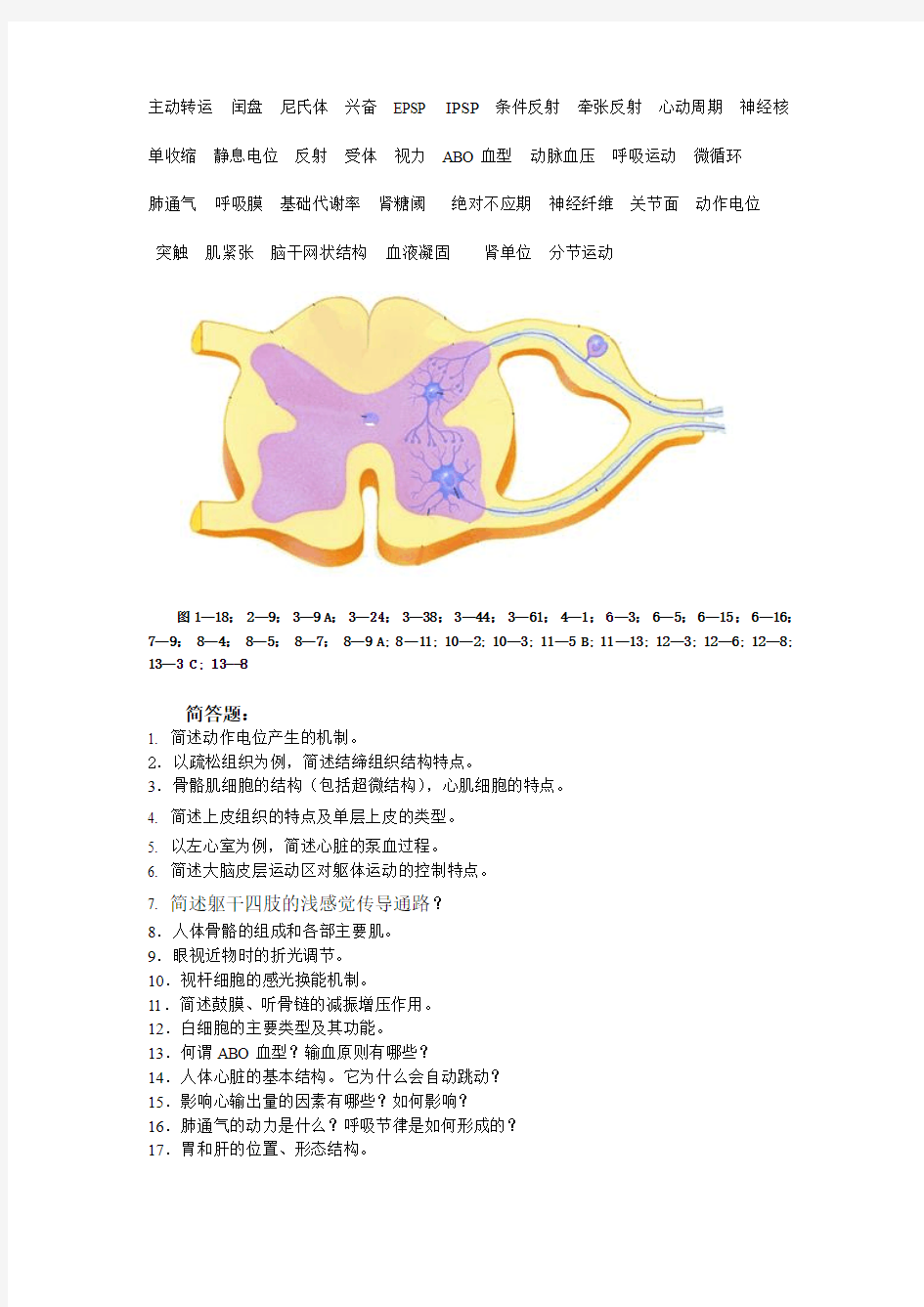 人体解剖生理学期末考试复习试题