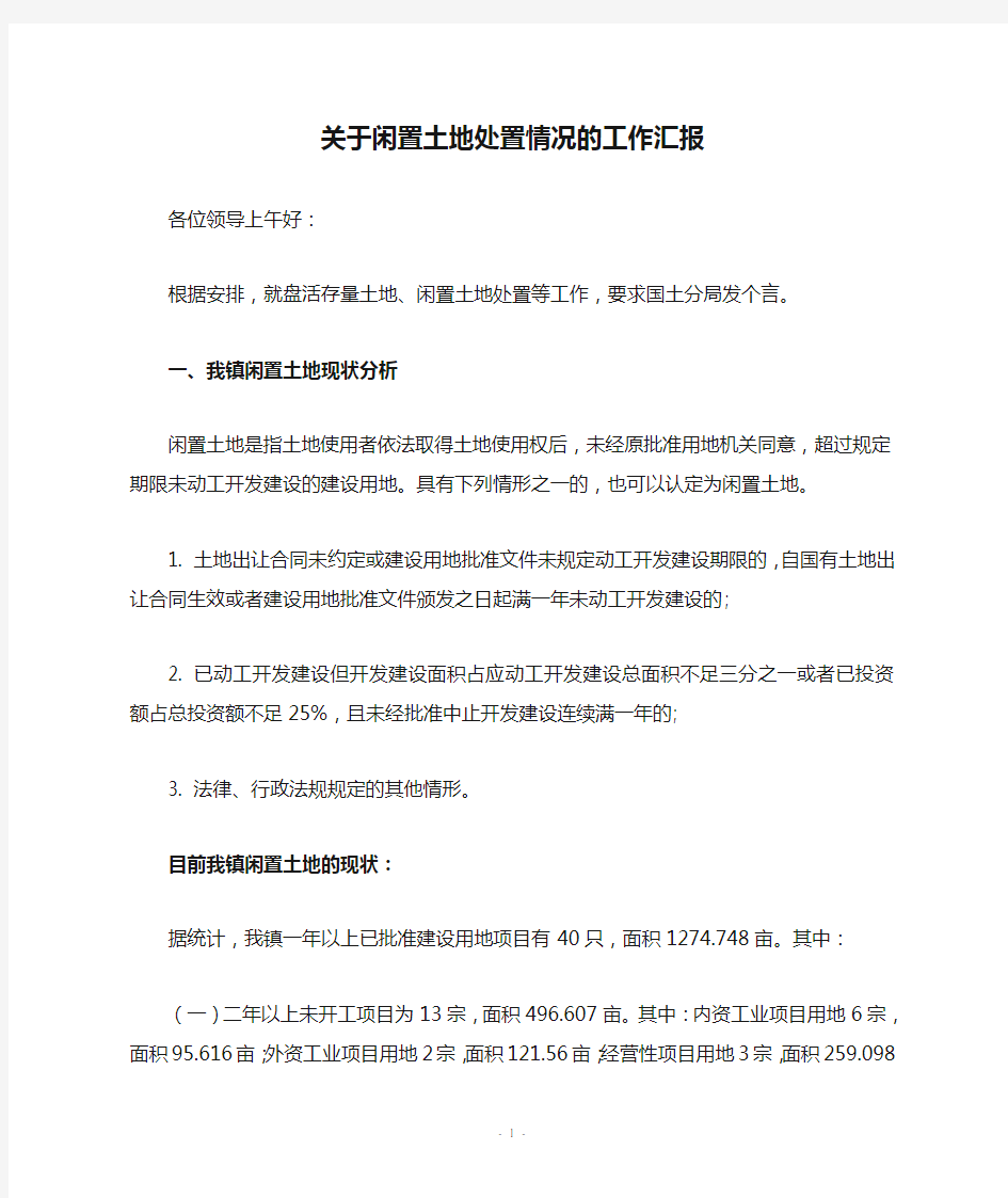 关于闲置土地处置情况的工作汇报