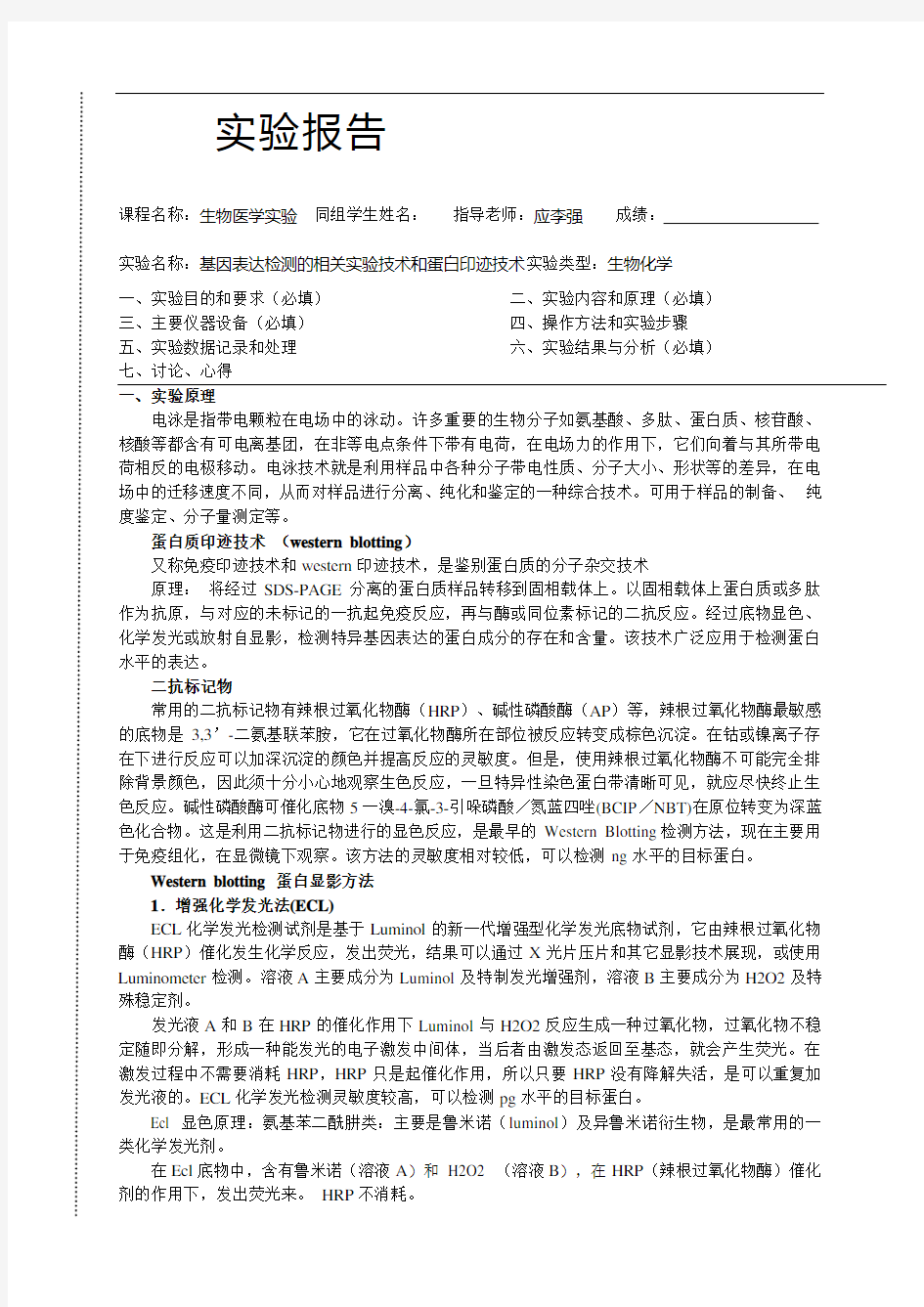 CC-基因表达检测的相关实验技术和蛋白印迹技术实验报告