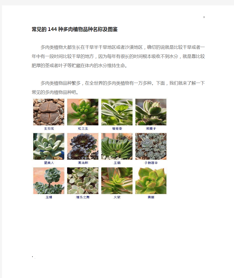 常见144种多肉植物品种名称及图鉴