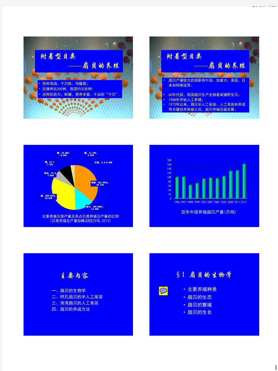 贝类增养殖10附着型贝类——扇贝的养殖【12】