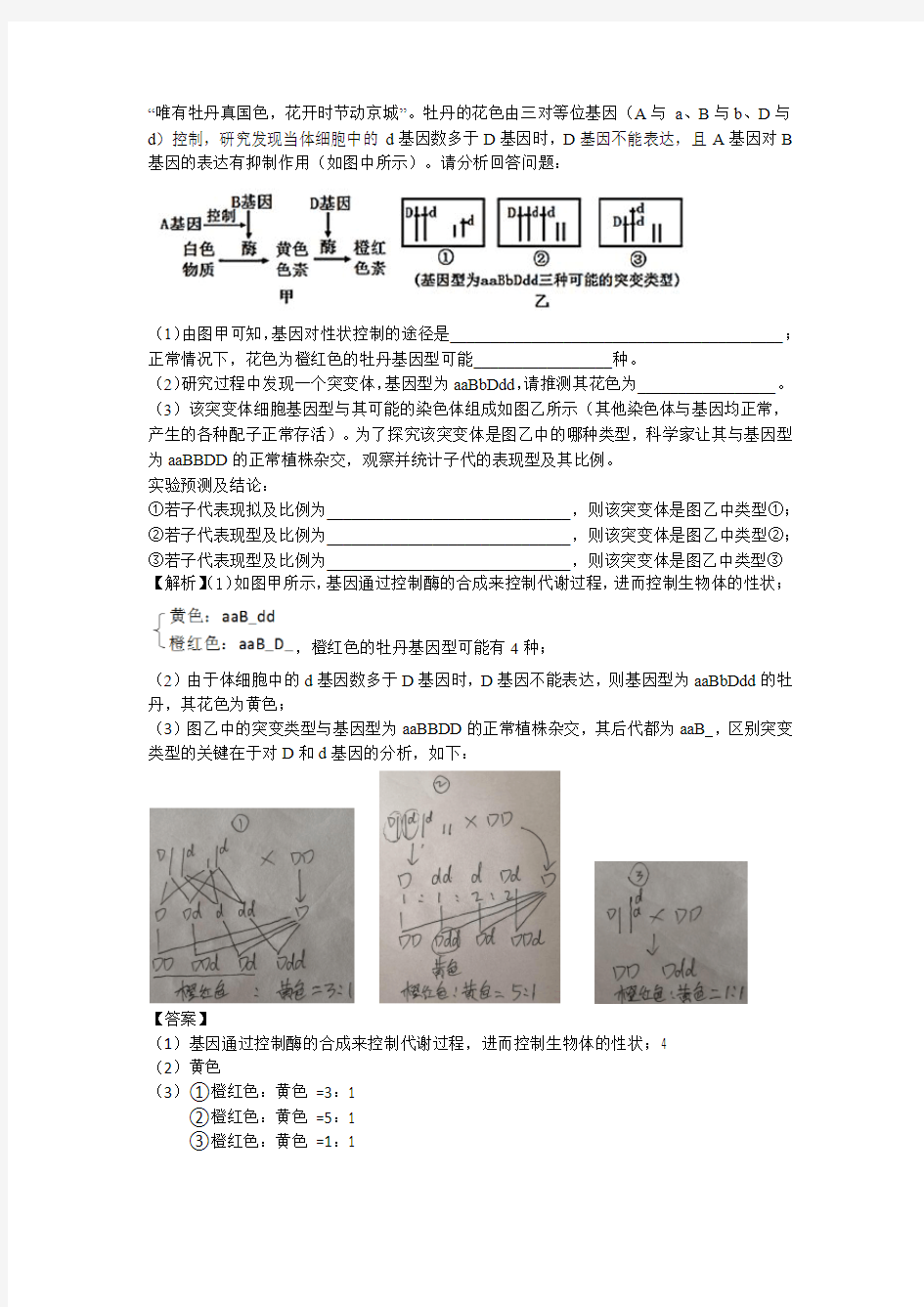 唯有牡丹真国色