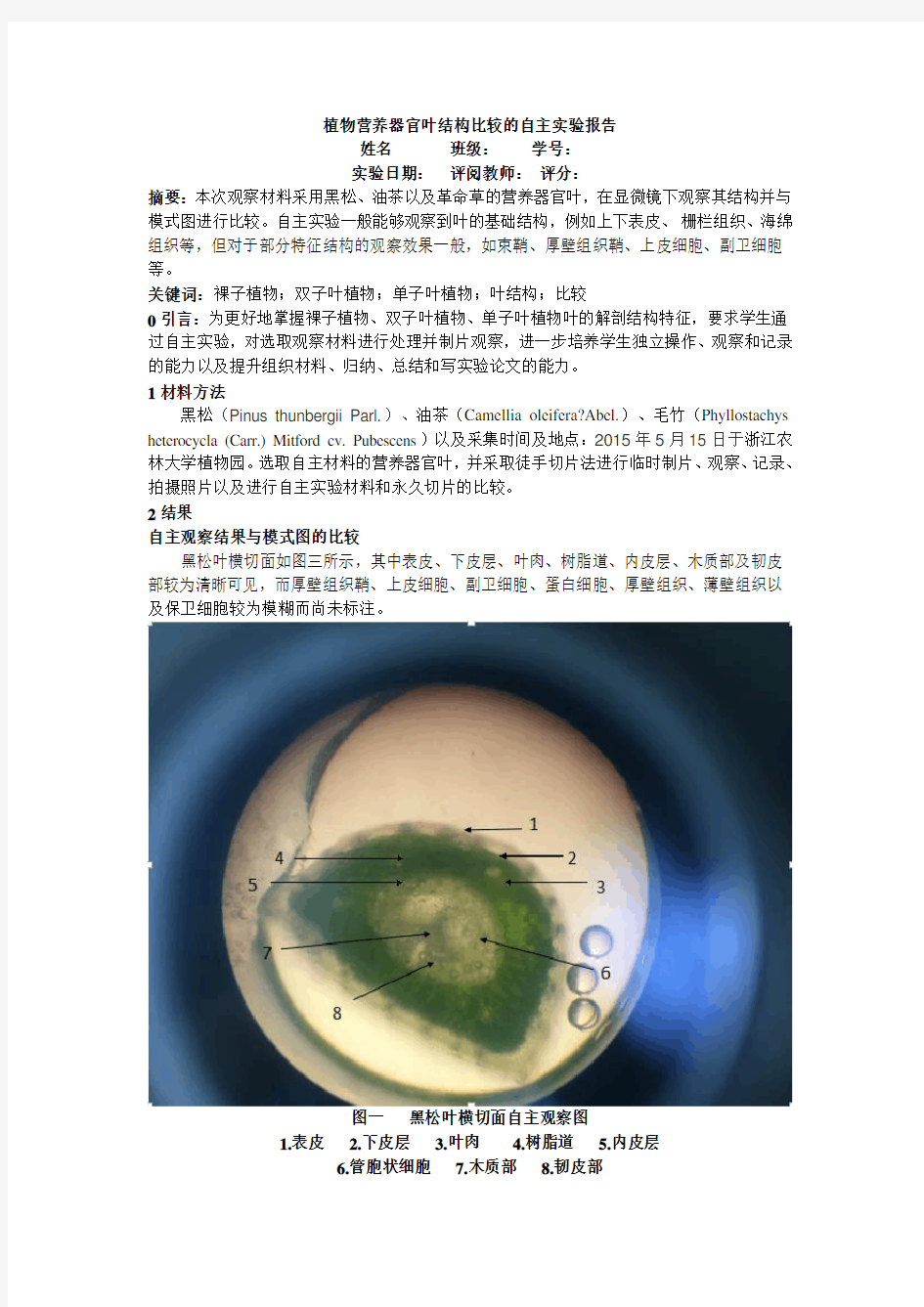 基础植物学实验报告