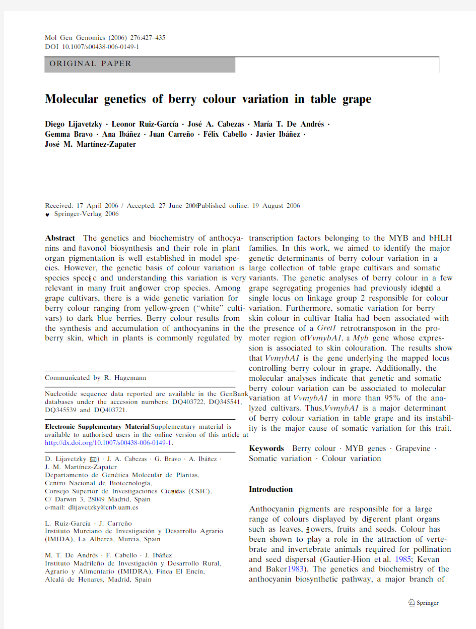 Molecular genetics of berry colour variation in table grape