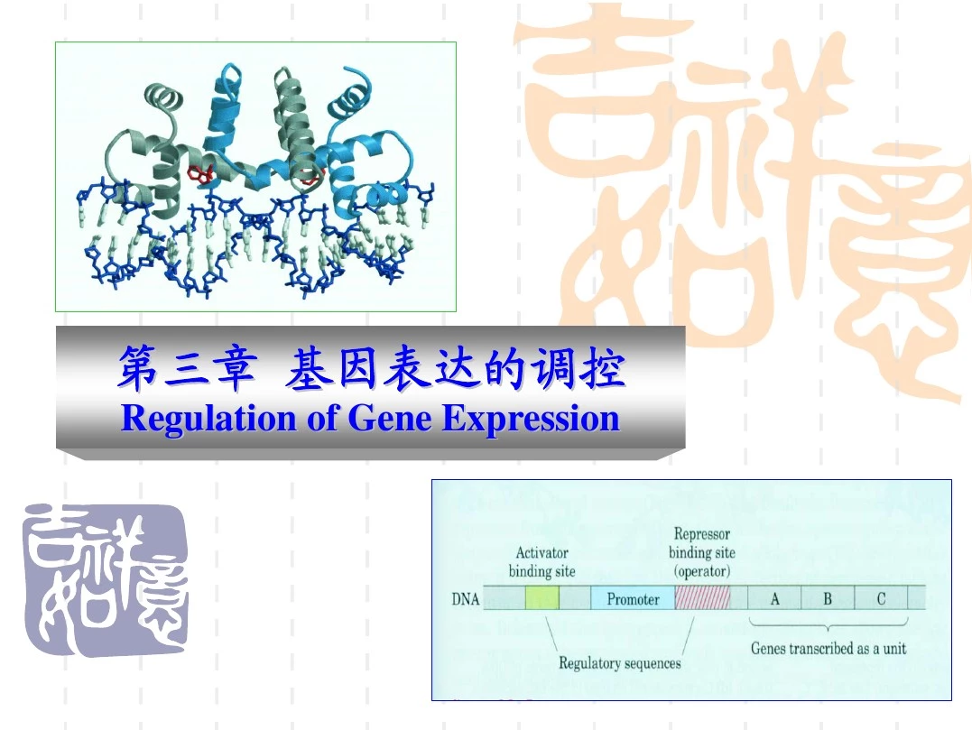 第三章 基因表达的调控