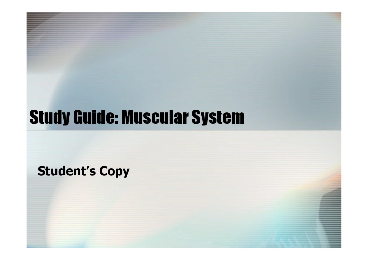 C2011_Muscular_System_SG-汕大医学院医学英语课件-肌肉骨骼系统