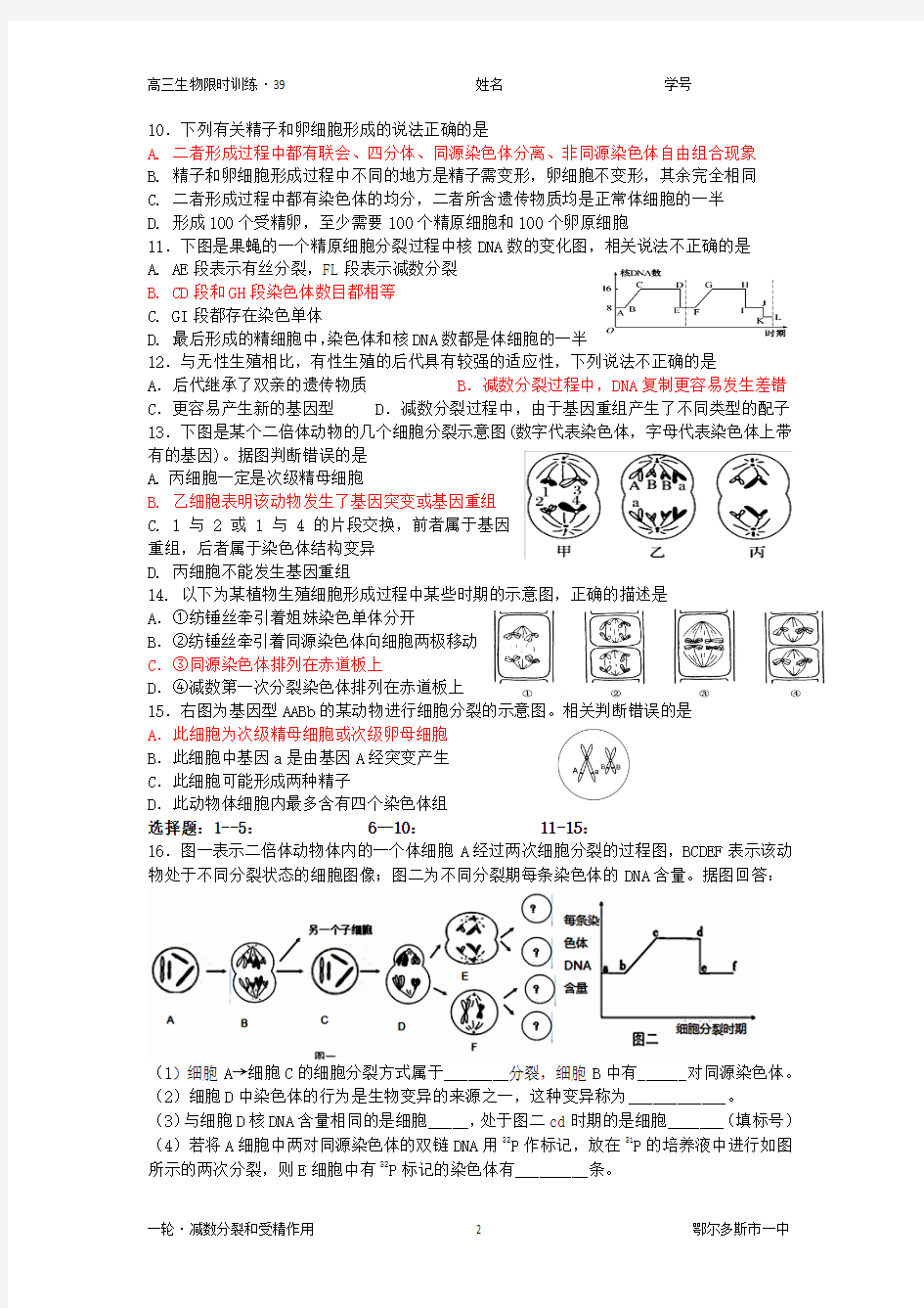 减数分裂 专题训练