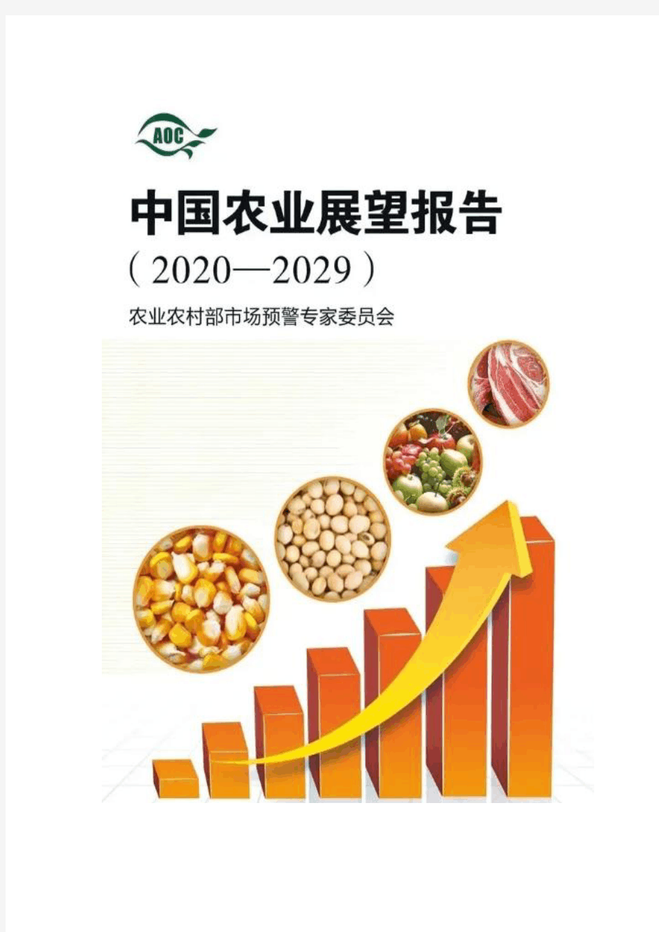 中国农业展望报告2020-2029