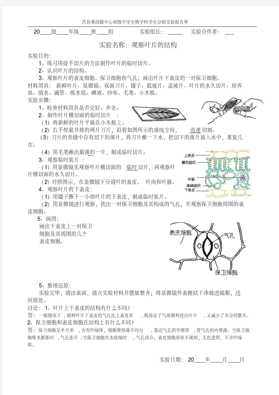 参考答案：实验报告单：观察叶片的结构