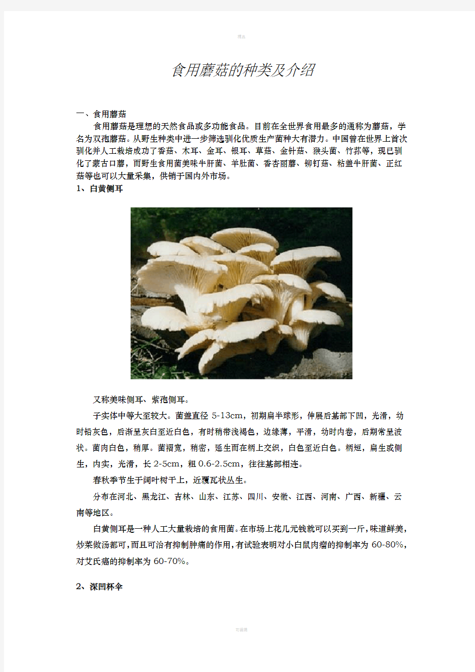 食用蘑菇的种类介绍