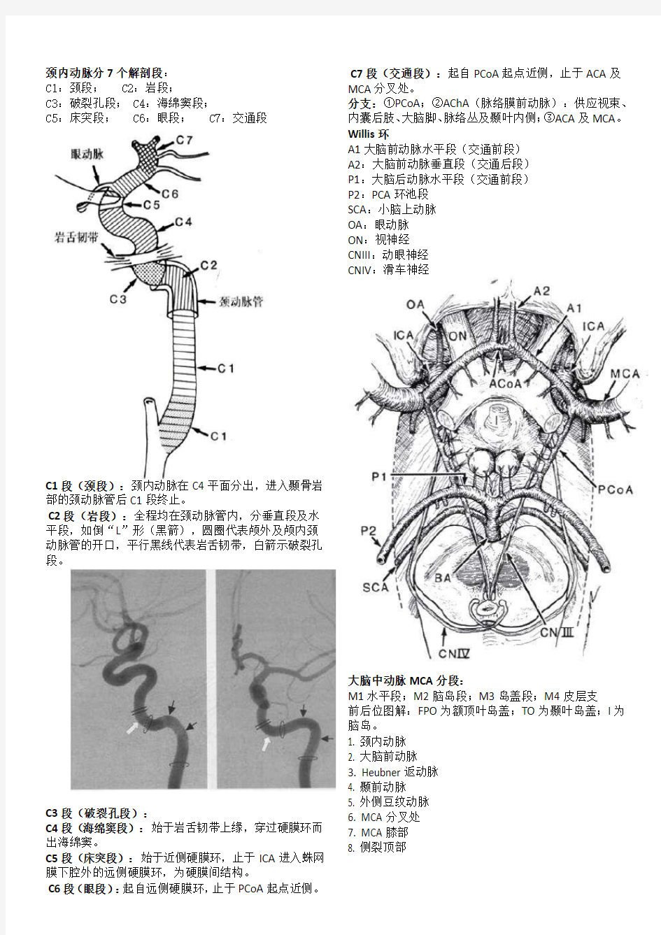 (完整版)脑血管解剖及分段详解