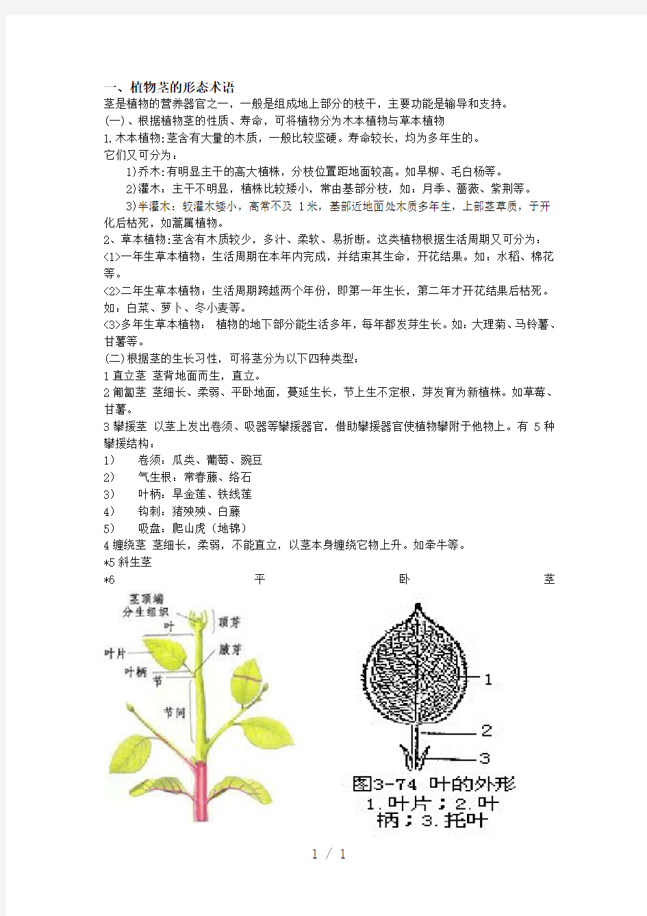 植物学基础知识word版