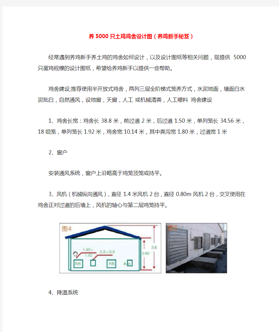 养5000只土鸡鸡舍设计图(养鸡新手秘笈)(201212)