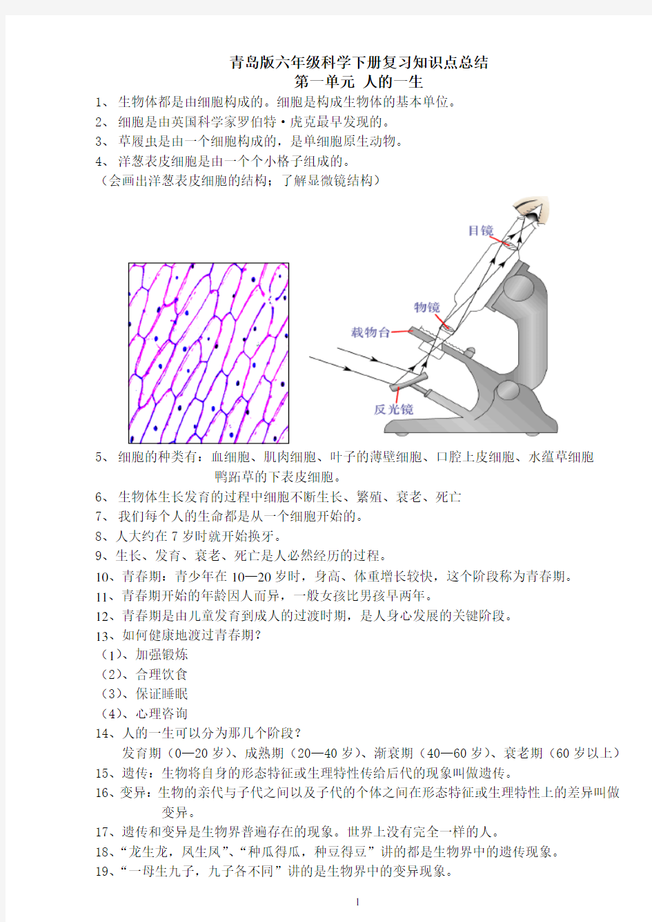 青岛版六年级下册科学(全册)知识点总结及试题